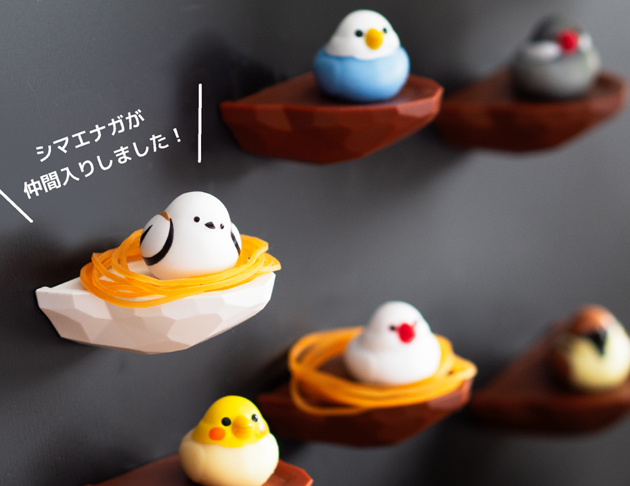 日本biite磁吸鳥巢橡皮筋收納器 (六款)